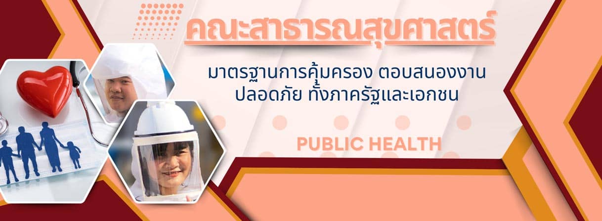คณะสาธารณสุขศาสตร์ School of Public Health banner